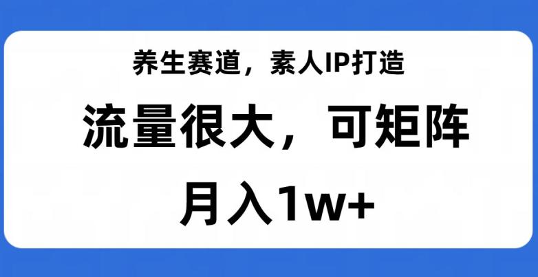 养生赛道IP打造，流量巨大，教你月入1W+【完整揭秘】-创业资源网 | 精品设计与工具分享平台