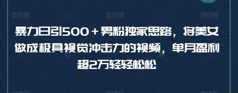 男粉独家思路:极具视觉冲击力的美女视频变现,单月盈利超2万轻松达成【揭秘】-创业资源网 | 精品设计与工具分享平台