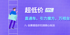 2023超低价·ppc—“直通车、引力魔方、万相台”全渠道·低价扫流核心玩法-创业资源网 | 精品设计与工具分享平台