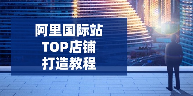 阿里国际站TOP店铺打造教程:涵盖平台到高阶,解决运营难题,提升询盘 阿里国际站TOP店铺打造教程:涵盖平台到高阶,解决运营难题,提升询盘
