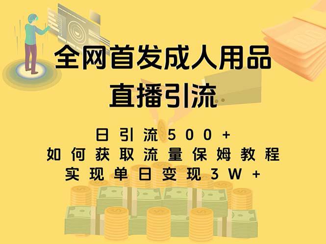 最新全网独创首发，成人用品直播引流获客暴力玩法，单日变现3w保姆级教程-创业资源网 | 精品设计与工具分享平台