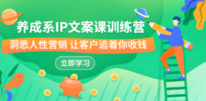 养成系-IP文案课训练营，文案心法的天花板 洞悉人性营销 让客户追着你收钱-创业资源网 | 精品设计与工具分享平台