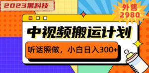 2023黑科技操作中视频撸收益，听话照做小白日入300+的项目-创业资源网 | 精品设计与工具分享平台