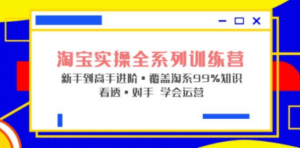 淘宝实操全系列训练营 新手到高手进阶·覆盖·99%知识 看透·对手 学会运营-创业资源网 | 精品设计与工具分享平台