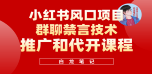 小红书风口项目日入300+,小红书群聊禁言技术代开项目,适合新手操作-创业资源网 | 精品设计与工具分享平台