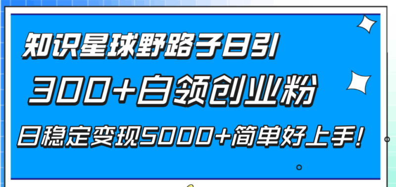 知识星球野路子日引300+白领创业粉,日稳定变现5000+简单好上手!-创业资源网 | 精品设计与工具分享平台