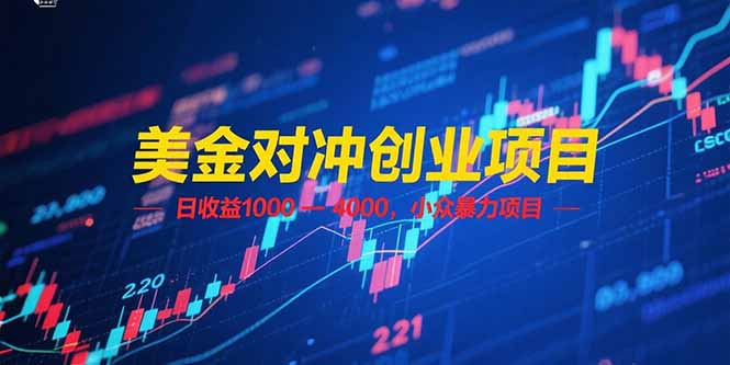 美金对冲创业项目,日收益 1000 – 4000,小众暴力项目-创业资源网 | 精品设计与工具分享平台