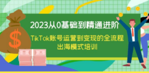 2023从0基础到精通进阶，TikTok账号运营到变现的全流程出海模式培训-创业资源网 | 精品设计与工具分享平台