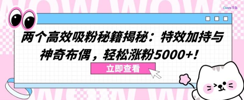 教你两个高效吸粉秘籍:特效加持与神奇布偶,轻松涨粉5000+【揭秘】-创业资源网 | 精品设计与工具分享平台