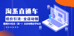 淘系直通车《低价·引流 全店·动销》超高ROI玩法（其一）全店动销必学玩法-创业资源网 | 精品设计与工具分享平台