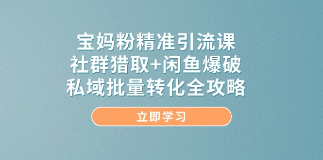 宝妈粉精准引流课，社群猎取+闲鱼爆破，私域批量转化全攻略-创业资源网 | 精品设计与工具分享平台
