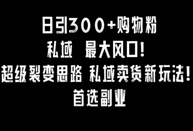 每日引300+购物粉，超级裂变新思路，私域卖货新玩法，小红书首选副业-创业资源网 | 精品设计与工具分享平台