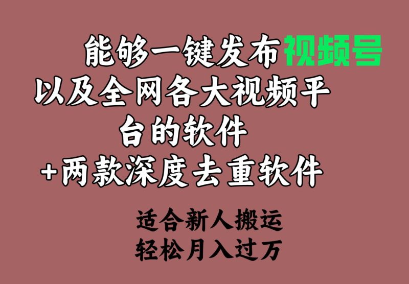能够一键发布视频号以及全网各大视频平台的软件+两款深度去重软件-创业资源网 | 精品设计与工具分享平台