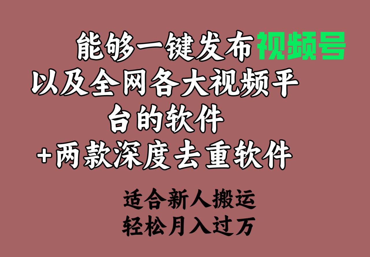能够一键发布视频号以及全网各大视频平台的软件 两款深度去重软件