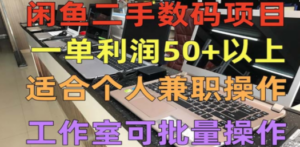 闲鱼二手数码项目,个人副业低保收入一单50+以上,工作室批量放大操作-创业资源网 | 精品设计与工具分享平台