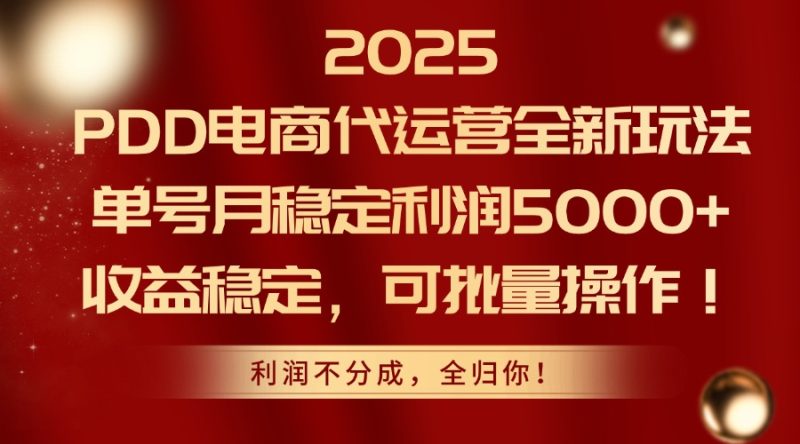 2025PDD电商代运营全新玩法，单号月稳定利润5000+，收益稳定，可批量操作-创业资源网 | 精品设计与工具分享平台