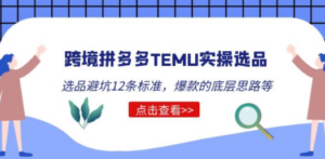 跨境拼多多TEMU实操选品运营方法,选品避坑12条标准,爆款的底层思路等-创业资源网 | 精品设计与工具分享平台