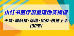 小红书·医疗流量落地实操课，干货·黑科技·落地·实战·快速上手（30节）-创业资源网 | 精品设计与工具分享平台