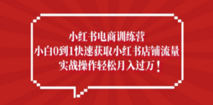 小红书电商训练营，小白0到1快速获取小红书店铺流量，实战操作月入过万-创业资源网 | 精品设计与工具分享平台