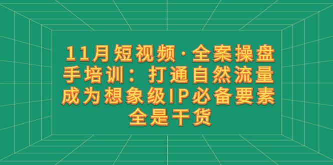 11月短视频·全案操盘手培训：打通自然流量 成为想象级IP必备要素 全是干货-创业资源网 | 精品设计与工具分享平台