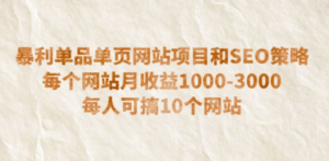 暴利单品单页网站项目和SEO策略 每个网站月收益1000-3000 每人可搞10个-创业资源网 | 精品设计与工具分享平台