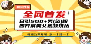 全网首发!日引500+老色批 美女视频四开屏玩法!发一个爆一个!-创业资源网 | 精品设计与工具分享平台