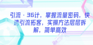 引流·36计，掌握流量密码，快速引流拓客，实操方法层层拆解，简单高效-创业资源网 | 精品设计与工具分享平台