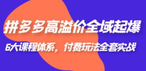 拼多多-高溢价 全域 起爆，6大课程体系，付费玩法全套实战-创业资源网 | 精品设计与工具分享平台