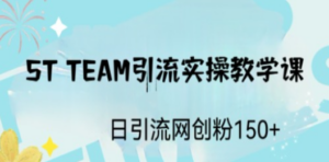 ST TEAM引流实操课,日引流网创粉100+-创业资源网 | 精品设计与工具分享平台