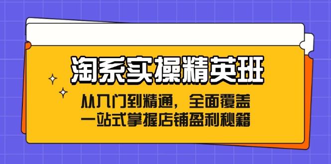淘系实操精英班:从入门到精通,全面覆盖,一站式掌握店铺盈利秘籍 淘系实操精英班:从入门到精通,全面覆盖,一站式掌握店铺盈利秘籍