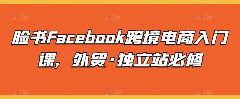 脸书FACEBOOK跨境电商入门课,外贸·独立站必修 脸书FACEBOOK跨境电商入门课,外贸·独立站必修
