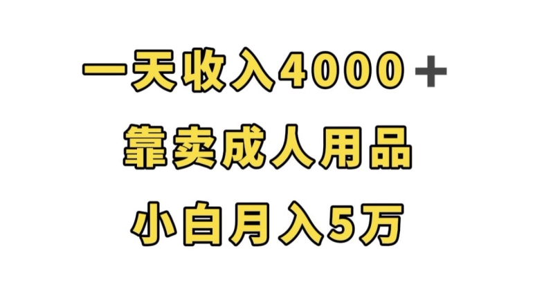 轻松月入5万，靠卖成人用品，一天收入4000+-创业资源网 | 精品设计与工具分享平台