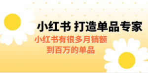 某公众号付费文章《小红书 打造单品专家》小红书有很多月销额到百万的单品-创业资源网 | 精品设计与工具分享平台