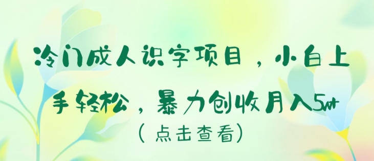 冷门项目成人识字，新手小白上手轻松，暴力创收月入5W+【揭秘】-创业资源网 | 精品设计与工具分享平台