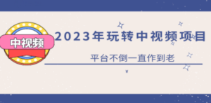 2023一心0基础玩转中视频项目：平台不倒，一直做到老   [复制链接]-创业资源网 | 精品设计与工具分享平台
