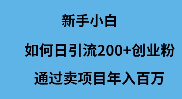 新手小白怎么样日引流200+创业粉通过卖项目年入百万-创业资源网 | 精品设计与工具分享平台