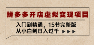 拼多多开店虚拟变现项目：入门到精通，从小白到日入过千（15节完整版）-创业资源网 | 精品设计与工具分享平台