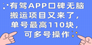 有驾APP口碑无脑搬运项目又来了，单号最高110块，可多号操作-创业资源网 | 精品设计与工具分享平台