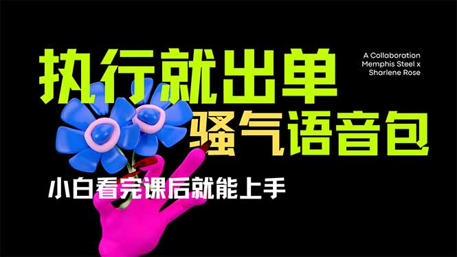 爆火全网的开车导航骚气语音包,只要执行就出单，小白看完课程就能实操…-创业资源网 | 精品设计与工具分享平台