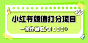 适合0基础小白的小红书颜值打分项目，一条作品收入1000+-创业资源网 | 精品设计与工具分享平台