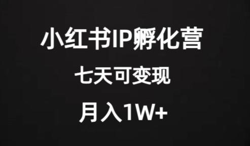 价值2000+的小红书IP孵化营项目，超级大蓝海，七天即可开始变现，稳定月入1W+-创业资源网 | 精品设计与工具分享平台