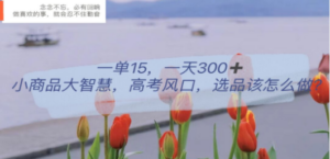 一单15，一天300+，小商品大智慧，高考风口，选品该怎么布局-创业资源网 | 精品设计与工具分享平台