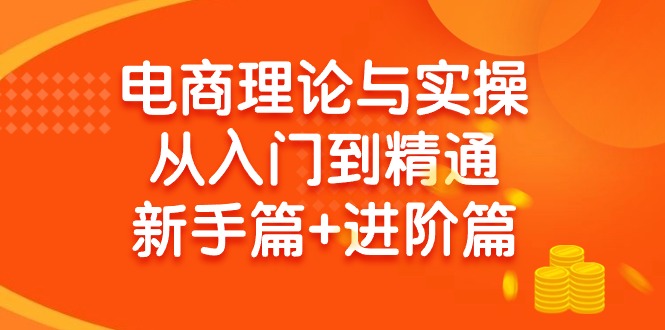 电商理论与实操从入门到精通:抖店+淘系+多多,新手篇+进阶篇 电商理论与实操从入门到精通:抖店+淘系+多多,新手篇+进阶篇