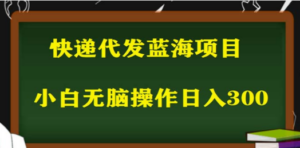 2023最新蓝海快递代发项目,小白零成本照抄也能日入300+-创业资源网 | 精品设计与工具分享平台