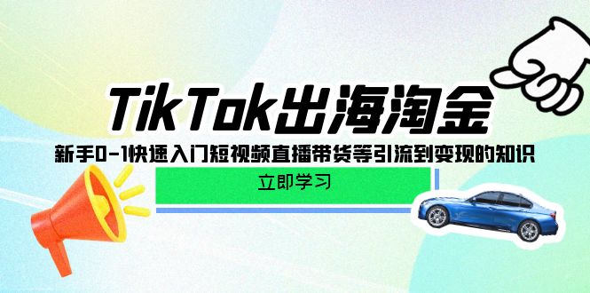 TikTok-出海淘金,新手0-1快速入门短视频直播带货等引流到变现的知识 TikTok-出海淘金,新手0-1快速入门短视频直播带货等引流到变现的知识