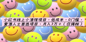 小红书线上小酒馆项目，低成本，0门槛，爱酒人士首选项目，月入3万＋-创业资源网 | 精品设计与工具分享平台