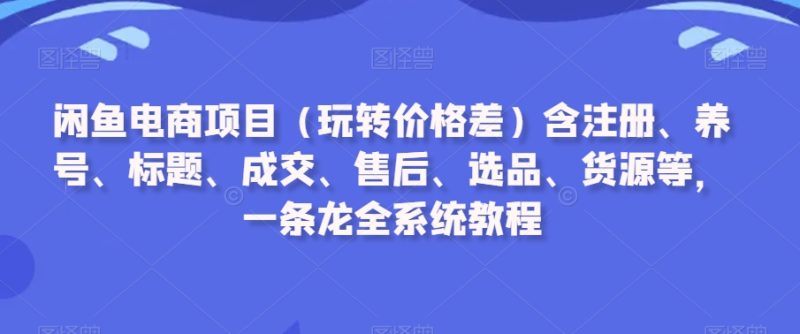 闲鱼电商项目(玩转价格差)含注册、养号、标题、成交、售后、选品、货源等,一条龙全系统教程-创业资源网 | 精品设计与工具分享平台