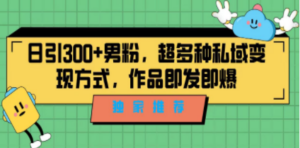 独家推荐！日引300+男粉，超多种私域变现方式，作品即发即报-创业资源网 | 精品设计与工具分享平台