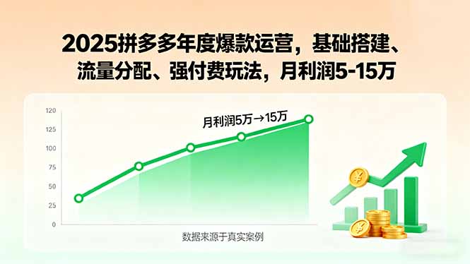2025拼多多年度爆款运营，基础搭建、流量分配、强付费玩法，月利润5-15万-创业资源网 | 精品设计与工具分享平台