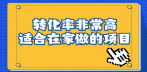 小红书虚拟电商项目：从小白到精英（视频课程+交付手册）-创业资源网 | 精品设计与工具分享平台
